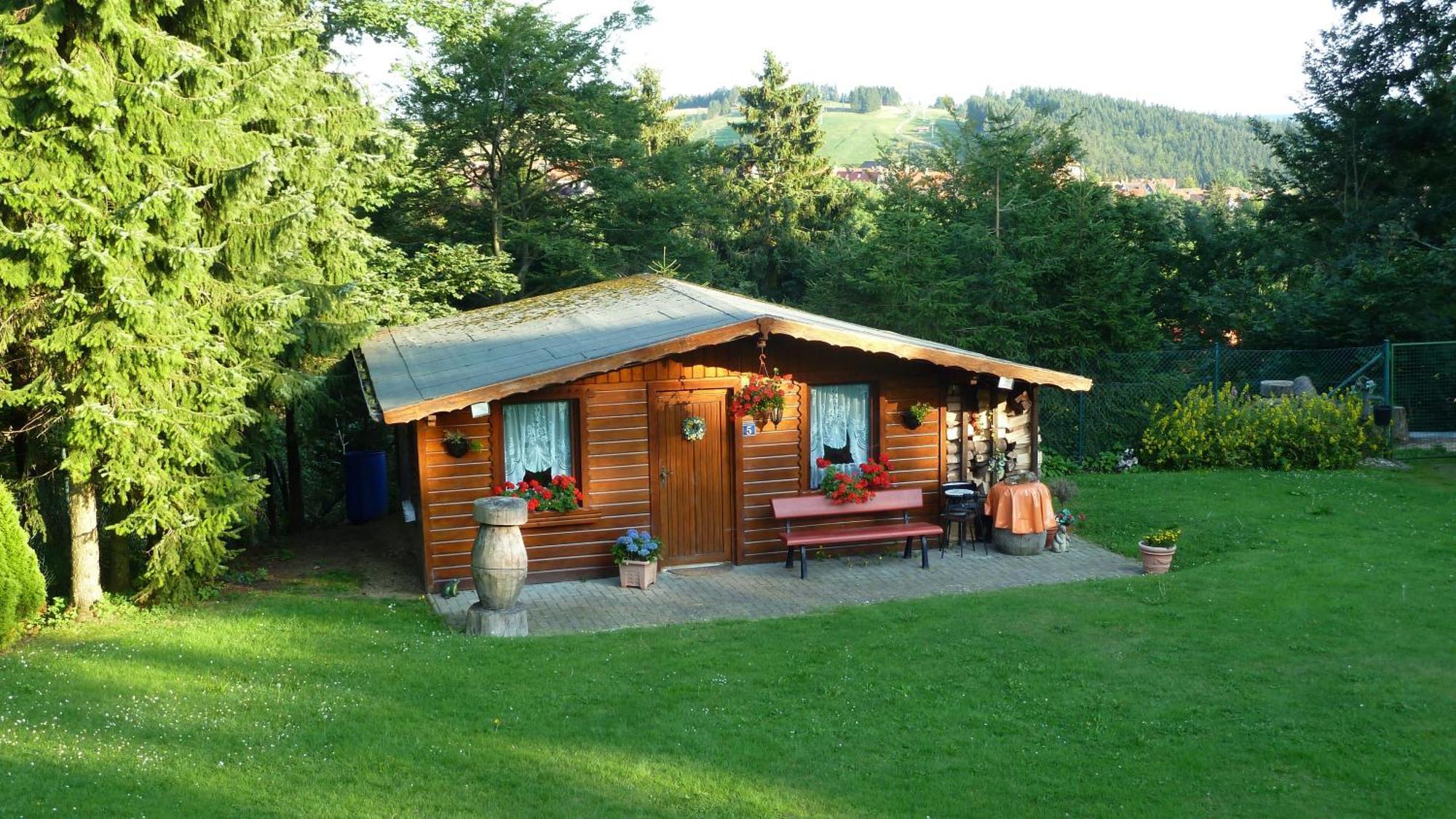 4 Sterne Ferienwohnung 140 Qm Im Haus Tina Sankt Andreasberg Exterior photo